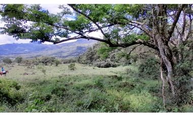 VENTA DE LOTE EN JERICO , SUROESTE ANTIOQUEÑO Unidad Cerrada