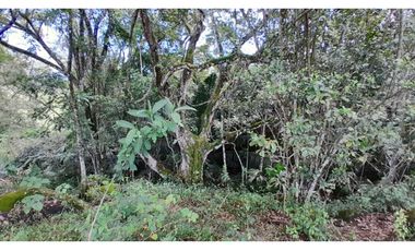 VENTA DE LOTE EN JERICO , SUROESTE ANTIOQUEÑO Unidad Cerrada