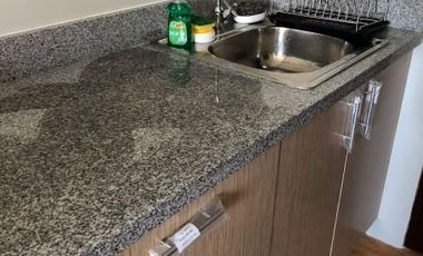 Furnished Studio Unit at Mivesa garden Cebu City for sale