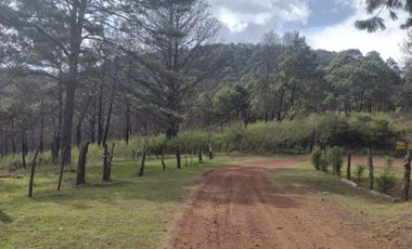 Bonito terreno plano con vista panorámica al bosque de Mazamitl ,Jalisco