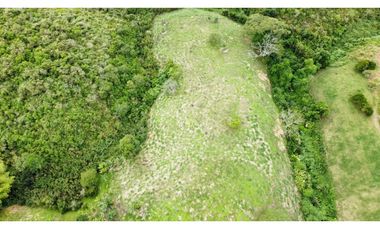 SE VENDEN EXCELENTES LOTES EN COMBIA CERCA  AL MALL DE COMIDAS