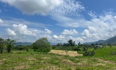SE VENDEN EXCELENTES LOTES EN COMBIA CERCA  AL MALL DE COMIDAS