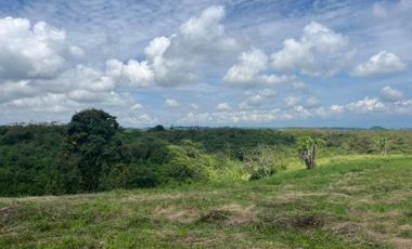 SE VENDEN EXCELENTES LOTES EN COMBIA CERCA  AL MALL DE COMIDAS