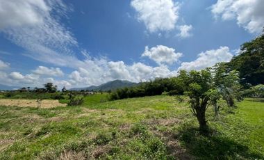 SE VENDEN EXCELENTES LOTES EN COMBIA CERCA  AL MALL DE COMIDAS
