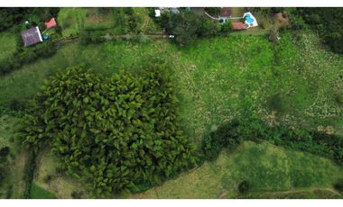 SE VENDEN EXCELENTES LOTES EN COMBIA CERCA  AL MALL DE COMIDAS