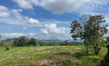 SE VENDEN EXCELENTES LOTES EN COMBIA CERCA  AL MALL DE COMIDAS