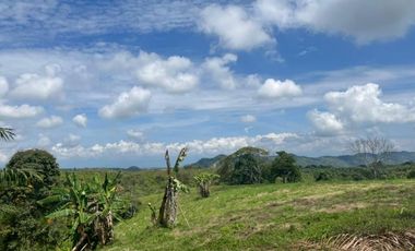 SE VENDEN EXCELENTES LOTES EN COMBIA CERCA  AL MALL DE COMIDAS