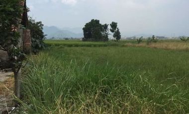 Tanah Kavling Siap Bangun Sukamukti Katapang Bandung