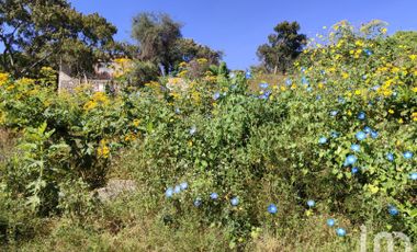 Terreno en venta en Cerro del Cuatro