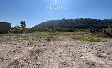 TERRENO EN VENTA, JARDINES DE SAN FRANCISCO, MARIANO OTERO, GUADALAJARA