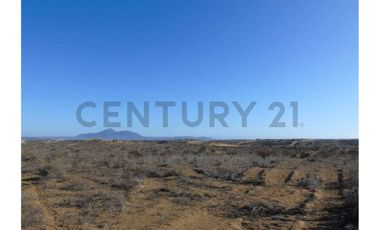 Se vende sitio en Morrillos 2da fila desde 6500 UF