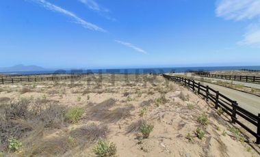 Se vende sitio en Morrillos 2da fila desde 6500 UF