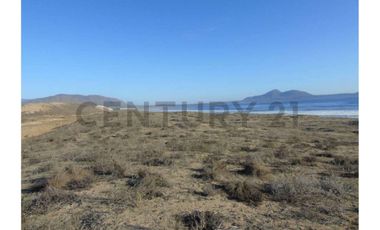 Se vende sitio en Morrillos 2da fila desde 6500 UF