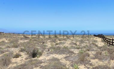 Se vende sitio en Morrillos 2da fila desde 6500 UF