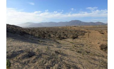 Se vende sitio en Morrillos 2da fila desde 6500 UF