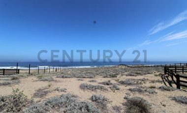 Se vende sitio en Morrillos 2da fila desde 6500 UF