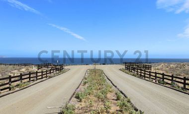 Se vende sitio en Morrillos 2da fila desde 6500 UF