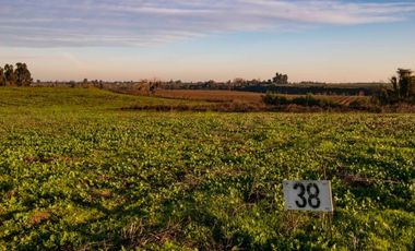 En venta preciosas parcelas cerca de Talca Séptima Región