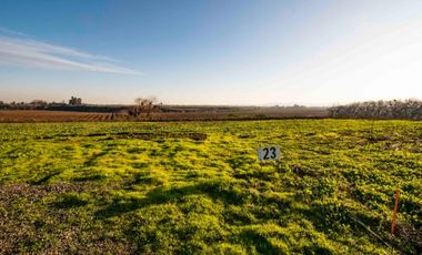 En venta preciosas parcelas cerca de Talca Séptima Región