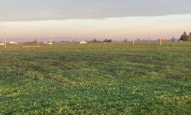 En venta preciosas parcelas cerca de Talca Séptima Región