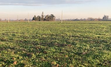 En venta preciosas parcelas cerca de Talca Séptima Región