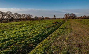 En venta preciosas parcelas cerca de Talca Séptima Región