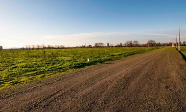 En venta preciosas parcelas cerca de Talca Séptima Región
