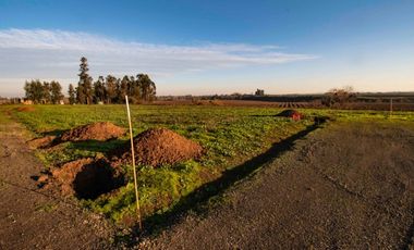 En venta preciosas parcelas cerca de Talca Séptima Región