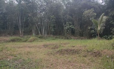 Tanah Dijual Tempuran Magelang
