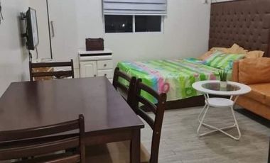 Spacious Studio Unit Fully Furnished Condo For Rent Near Pacific mall Mandaue