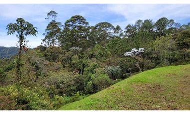 Venta de Lote En Unidad Cerrada Juanito Laguna El Retiro