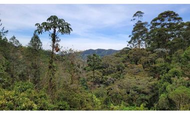 Venta de Lote En Unidad Cerrada Juanito Laguna El Retiro