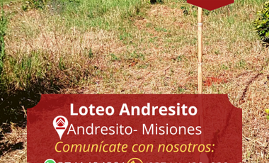 Loteo Andresito