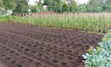 [175CE7] Land for sale 6000m2 - Cisarua, West Bandung