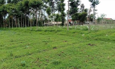 [175CE7] Land for sale 6000m2 - Cisarua, West Bandung