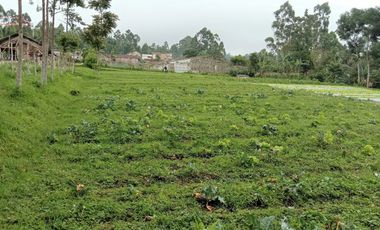 [175CE7] Land for sale 6000m2 - Cisarua, West Bandung