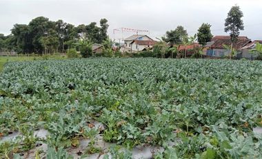 [175CE7] Land for sale 6000m2 - Cisarua, West Bandung