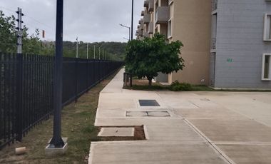 apartamento en arriendo en manzanillo. Cod A125573