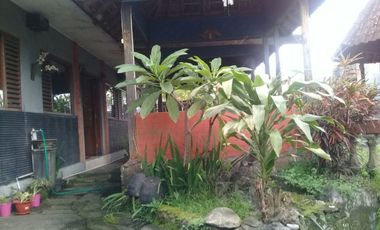 Rumah Dan Ruang Usaha di Pinggir Jalan Jogja - Magelang