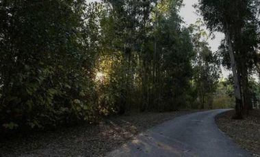 OPORTUNIDAD LOTE CAMPO TIMBO. Entrega y cuotas en pesos. Posesion inmediata