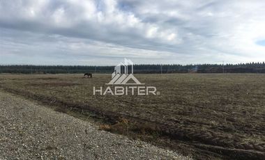 Sitio en Venta en Sector Los Tilos 5 sur