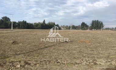 Sitio en Venta en Sector Los Tilos 5 sur