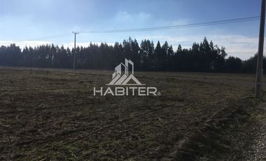 Sitio en Venta en Sector Los Tilos 5 sur