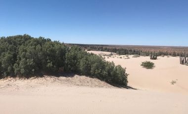 TERRENO EN VENTA EN SONORA