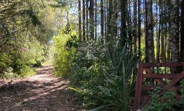 Casa en Venta en COD34560 Segunda faja Pucón a Villarrica, en Molco Alto