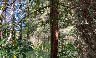 Casa en Venta en COD34560 Segunda faja Pucón a Villarrica, en Molco Alto