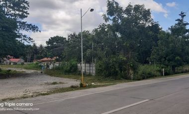 FOR LEASE ALONG POB DAUIS PANGLAO HIGHWAY 4084 sqm | BOHOLANA REALTY