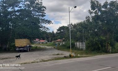FOR LEASE ALONG POB DAUIS PANGLAO HIGHWAY 4084 sqm | BOHOLANA REALTY