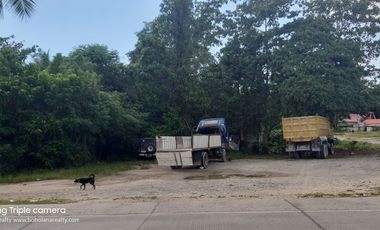 FOR LEASE ALONG POB DAUIS PANGLAO HIGHWAY 4084 sqm | BOHOLANA REALTY