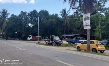 FOR LEASE ALONG POB DAUIS PANGLAO HIGHWAY 4084 sqm | BOHOLANA REALTY